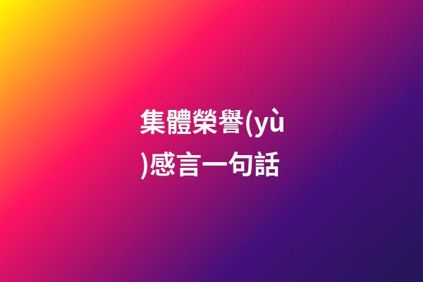 集體榮譽(yù)感言一句話