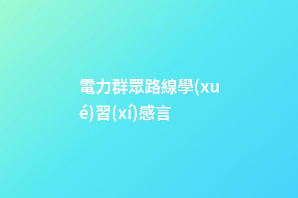 電力群眾路線學(xué)習(xí)感言