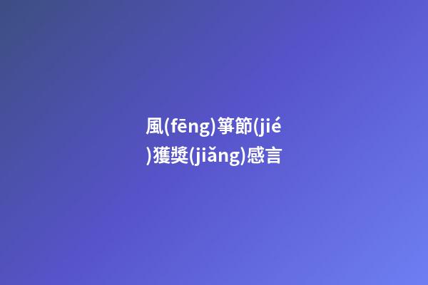 風(fēng)箏節(jié)獲獎(jiǎng)感言