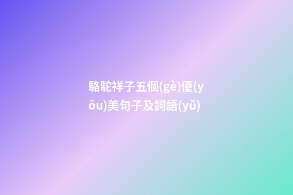 駱駝祥子五個(gè)優(yōu)美句子及詞語(yǔ)