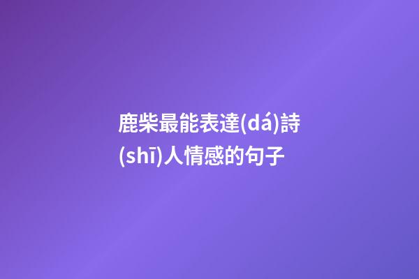 鹿柴最能表達(dá)詩(shī)人情感的句子