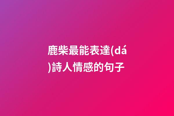 鹿柴最能表達(dá)詩人情感的句子